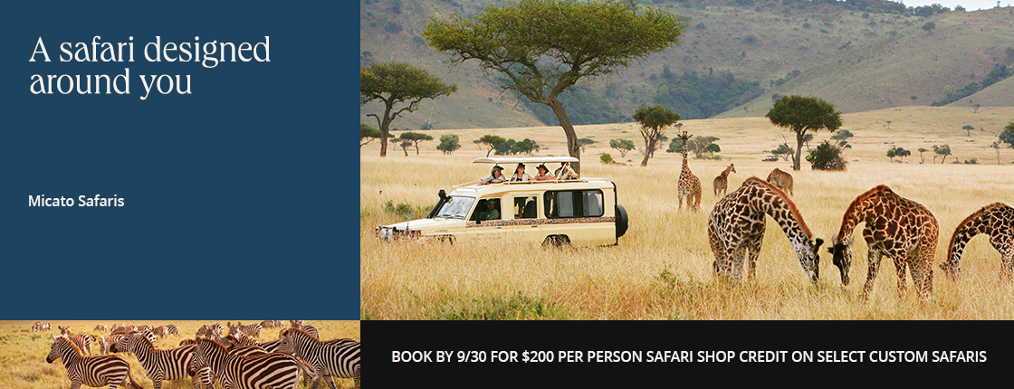 A safari designed around you with Micato Safaris. Book by 9/30 for $200 per person Safari Shop credit on select custom safaris.