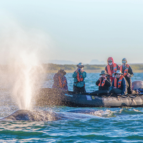 Expeditions crafted by experts