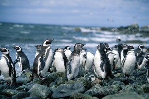 Galapagos Islands