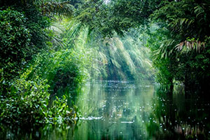 Ecuador/Amazon