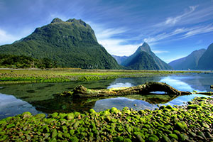 New Zealand/Fiji